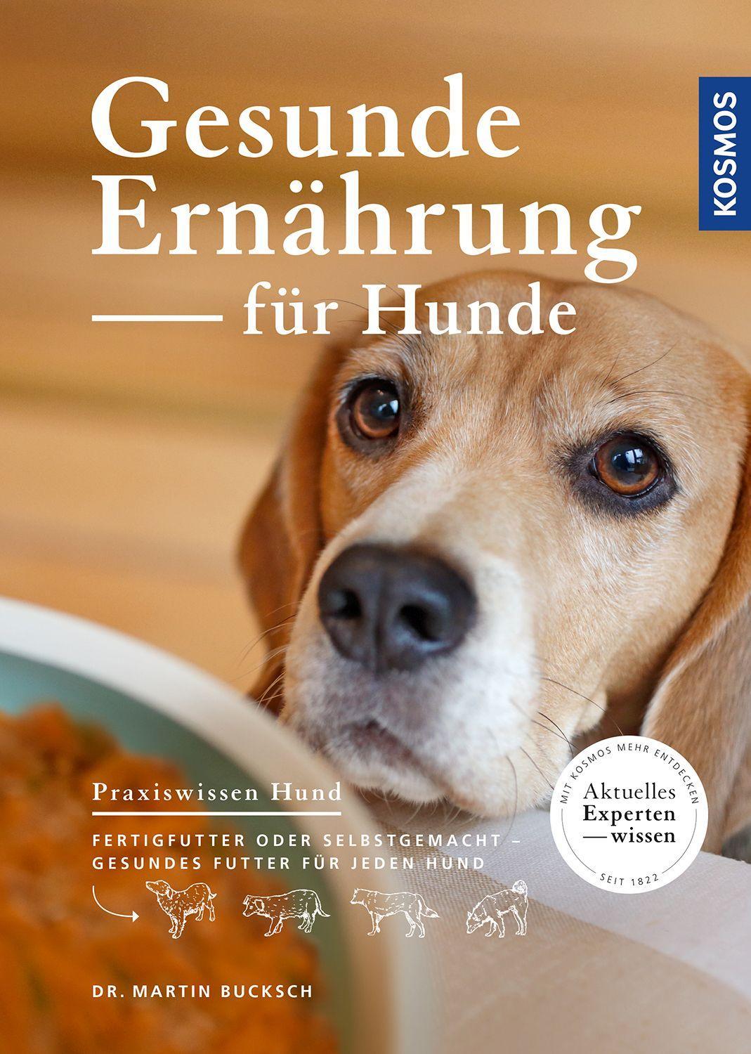 Gesunde Ernährung für Hunde