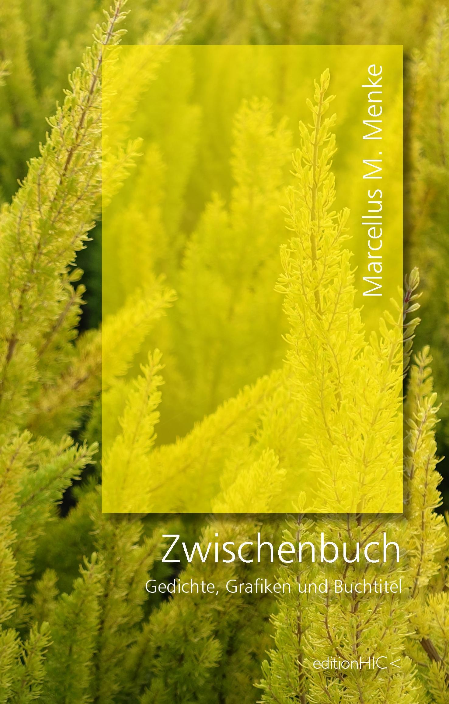 Zwischenbuch