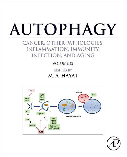 Autophagy: Cancer, Other Pathologies, Inflammation, Immunity, Infection, and Aging