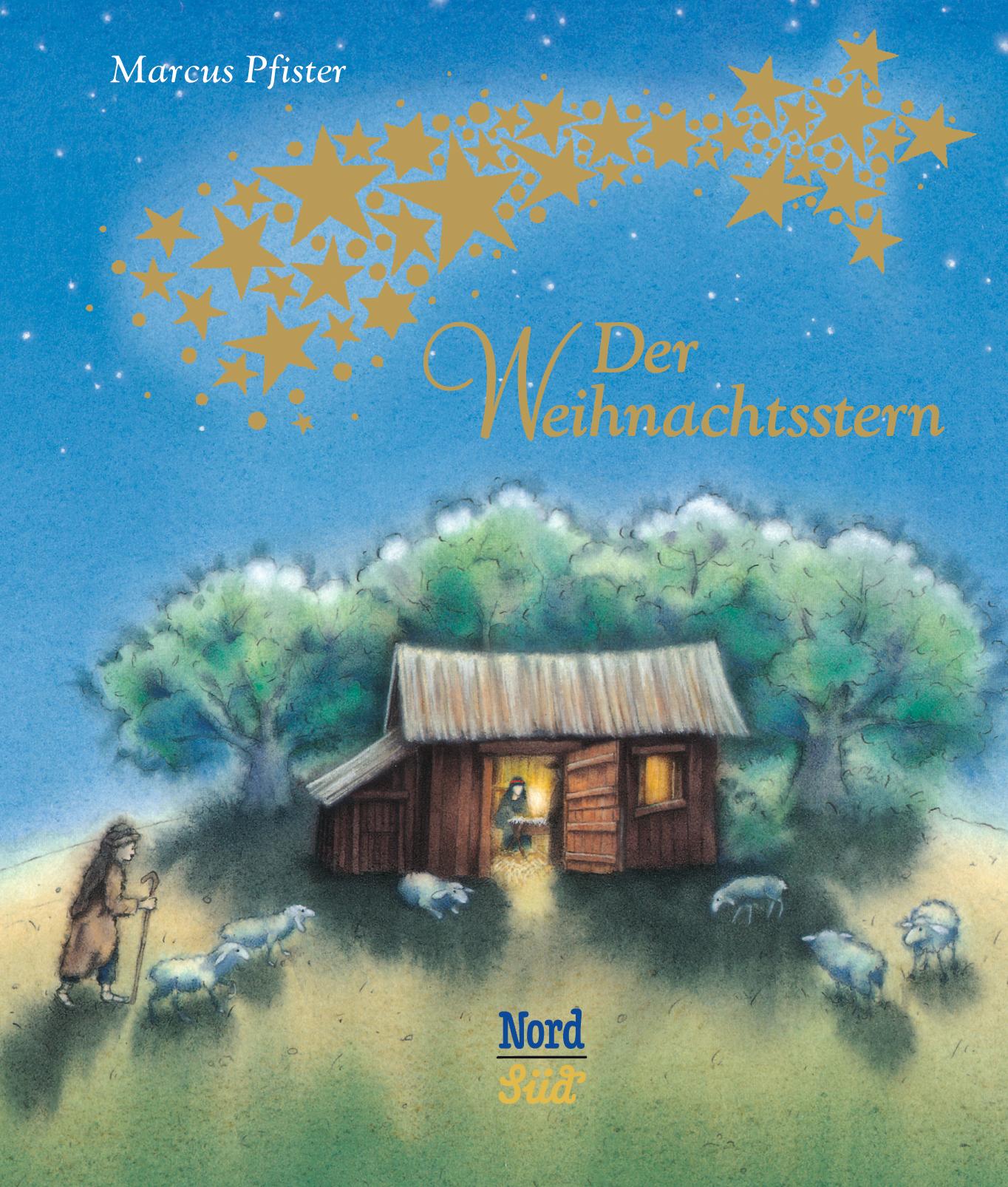 Der Weihnachtsstern