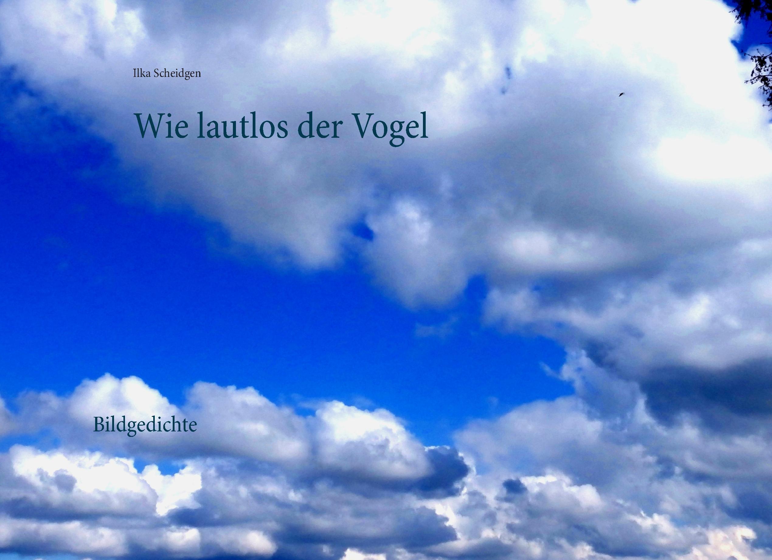 Wie lautlos der Vogel