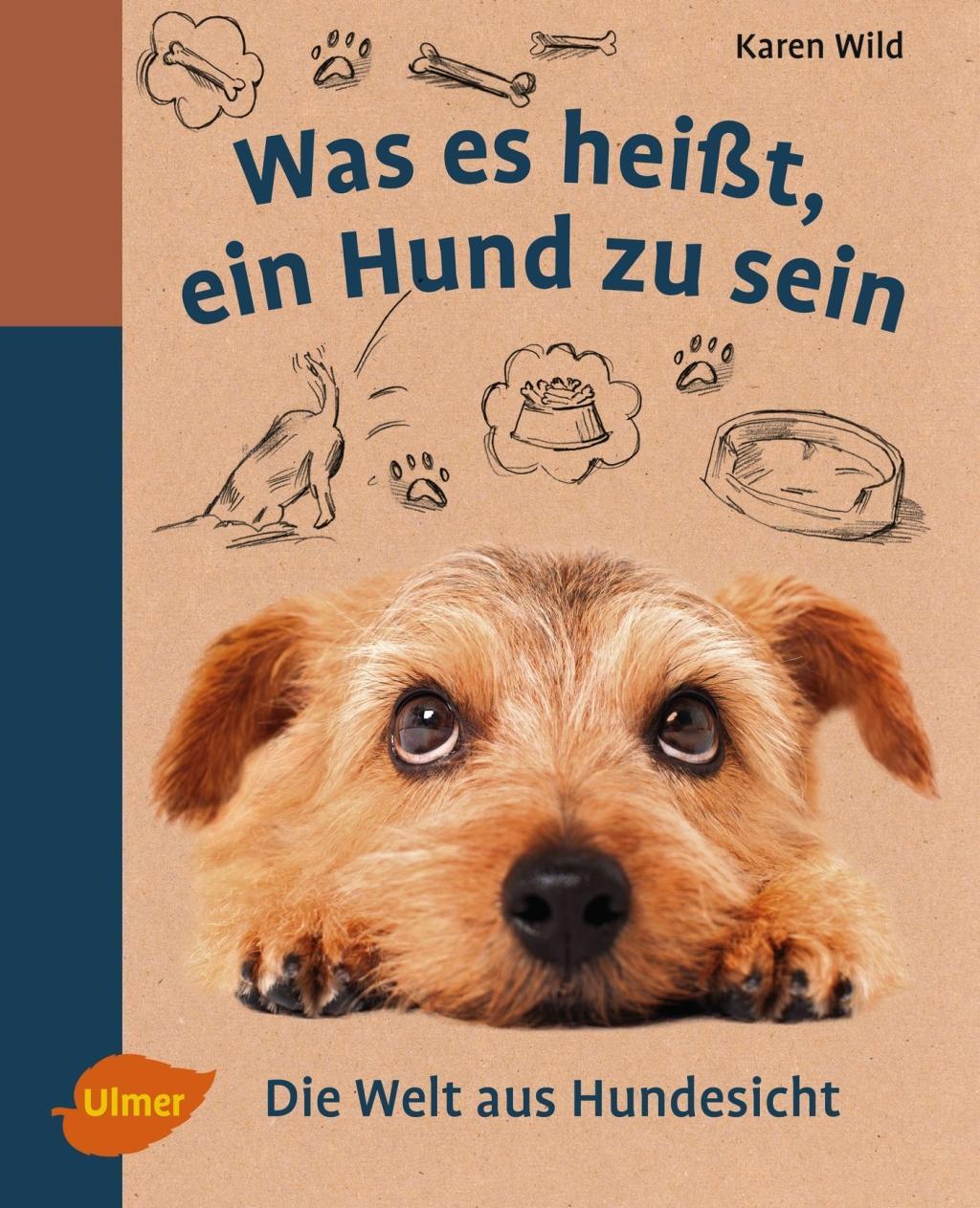 Was es heißt, ein Hund zu sein