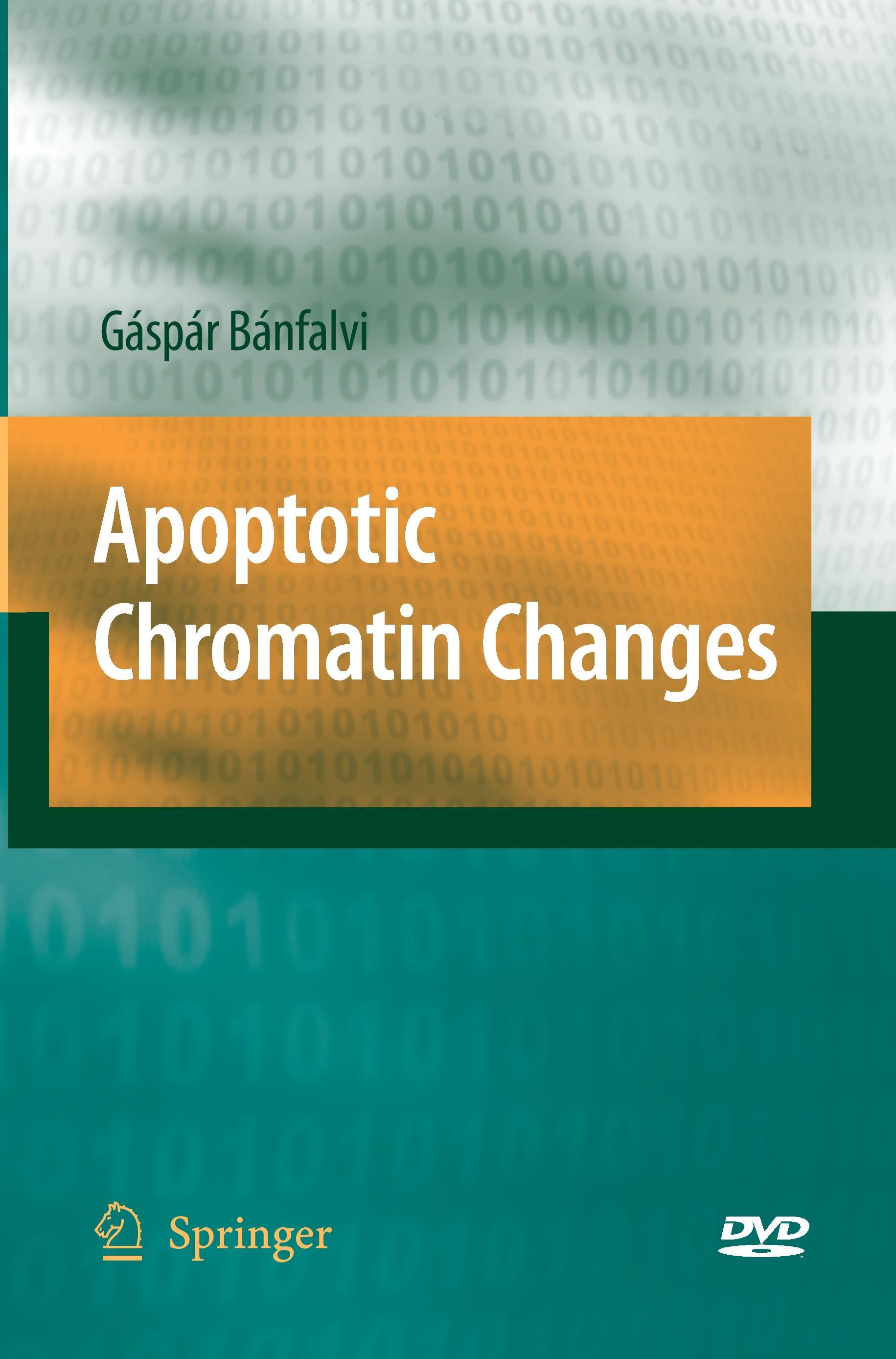 Apoptotic Chromatin Changes