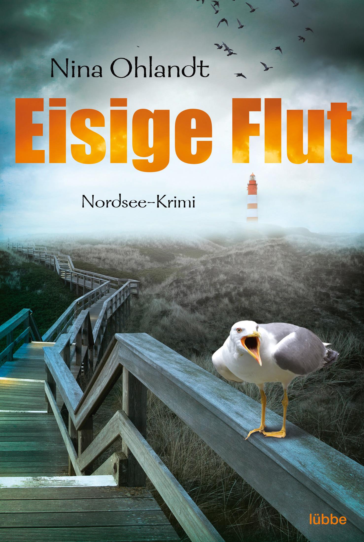 Eisige Flut