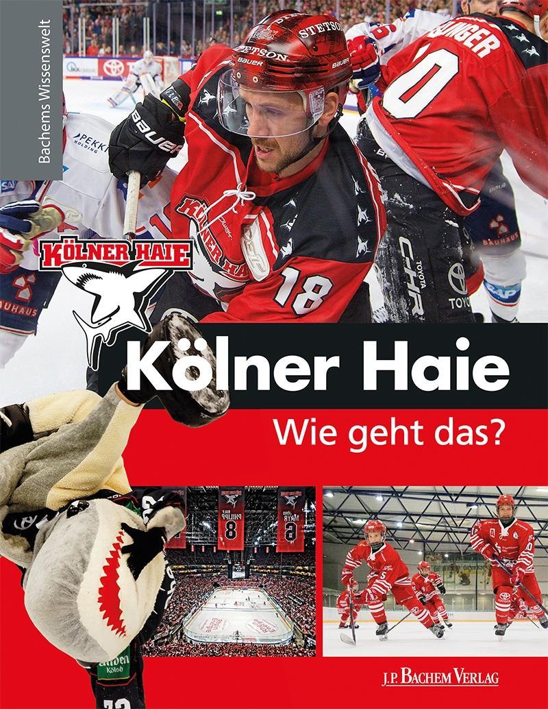 Kölner Haie - Wie geht das?