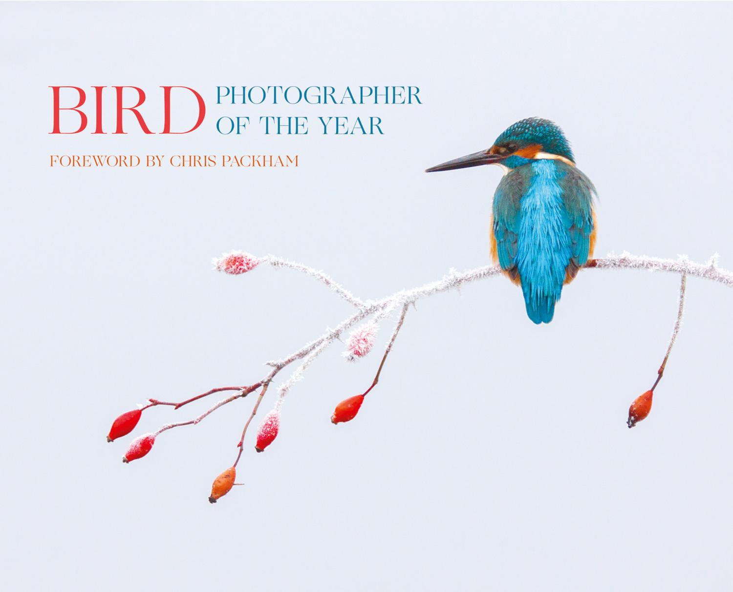 Bird Photographer of the Year: Collection 2