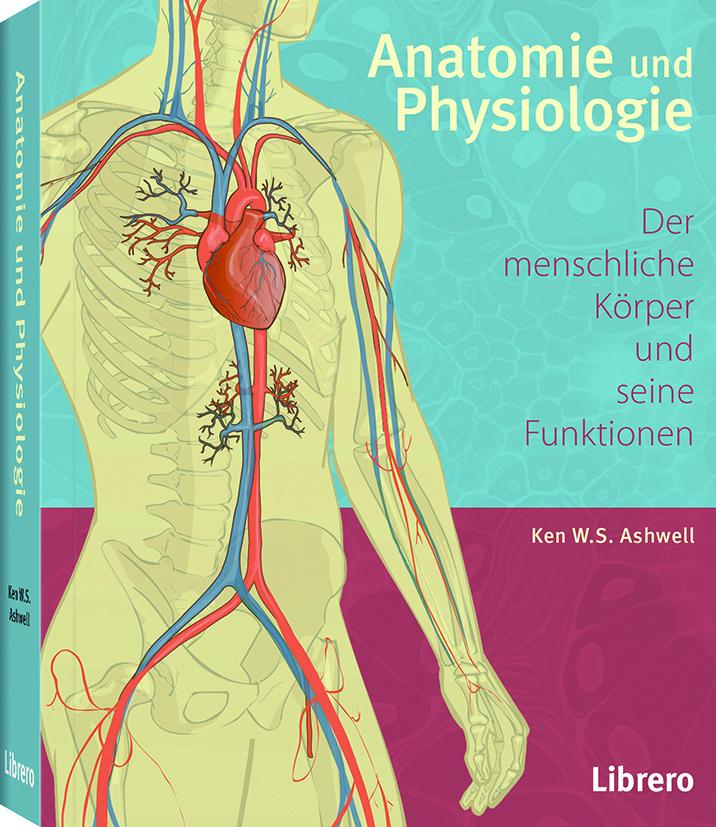 Anatomie und Physiologie