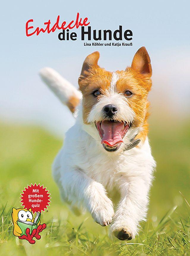 Entdecke die Hunde