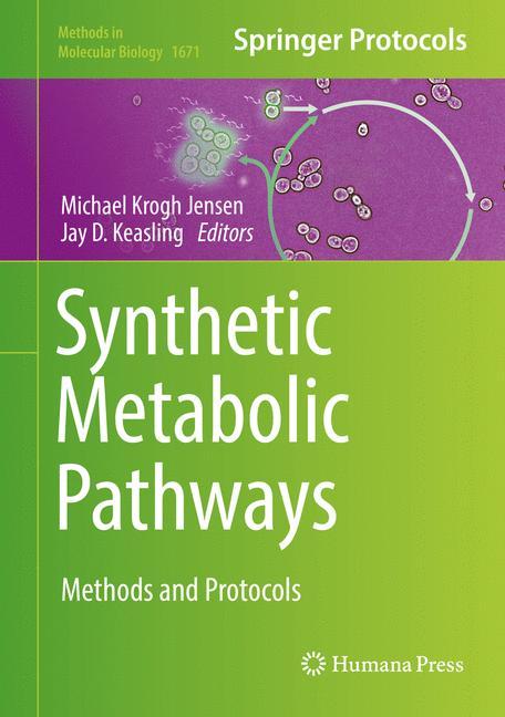 Synthetic Metabolic Pathways