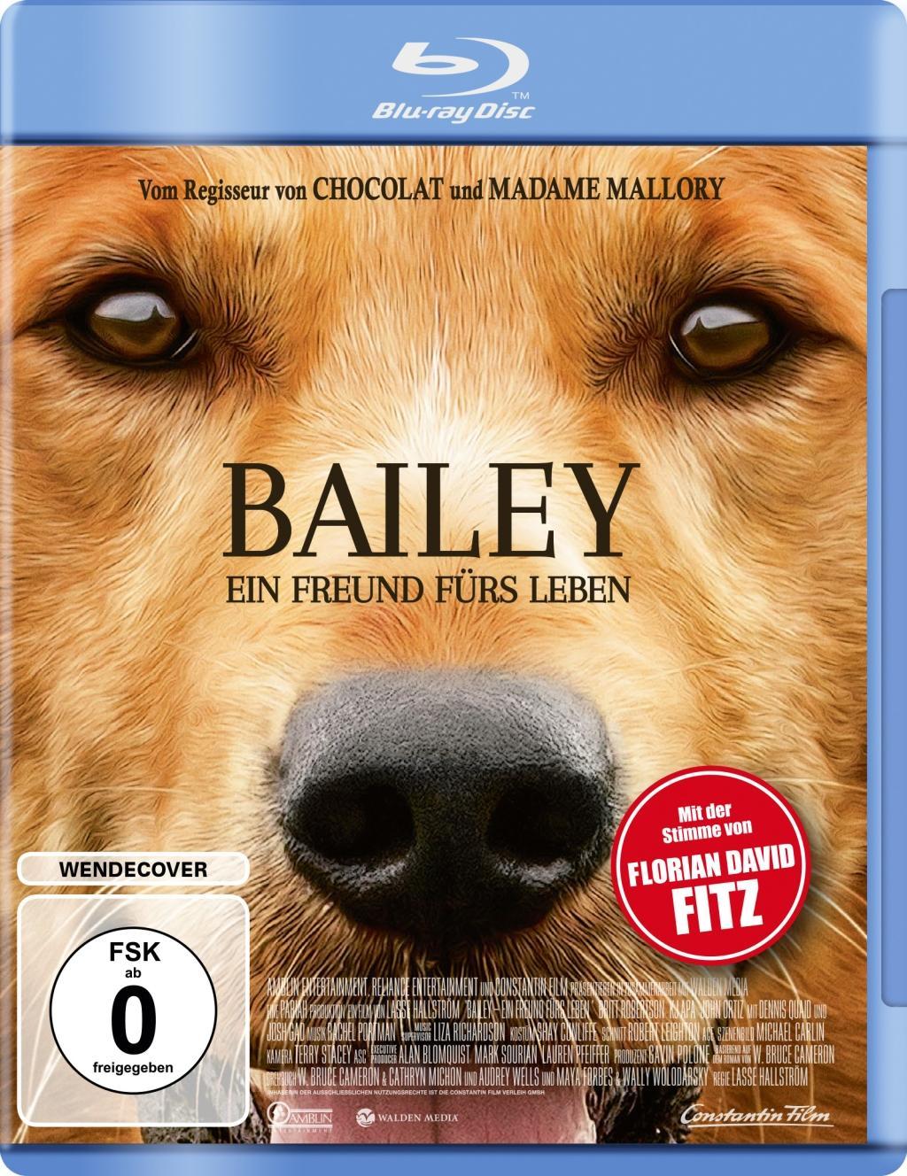 Bailey - Ein Freund fürs Leben