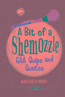 A 'A Bit Of A Shemozzle'