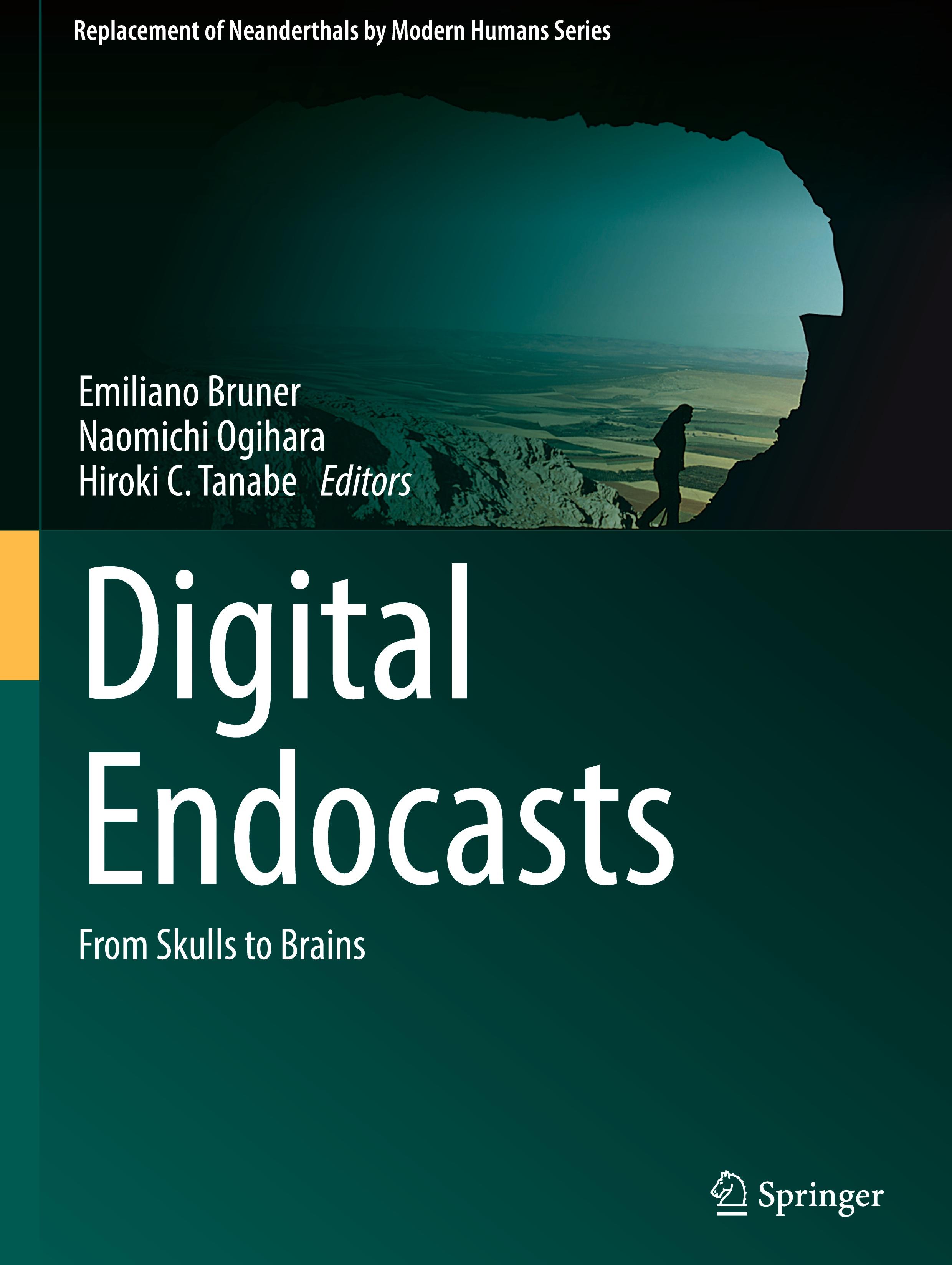 Digital Endocasts