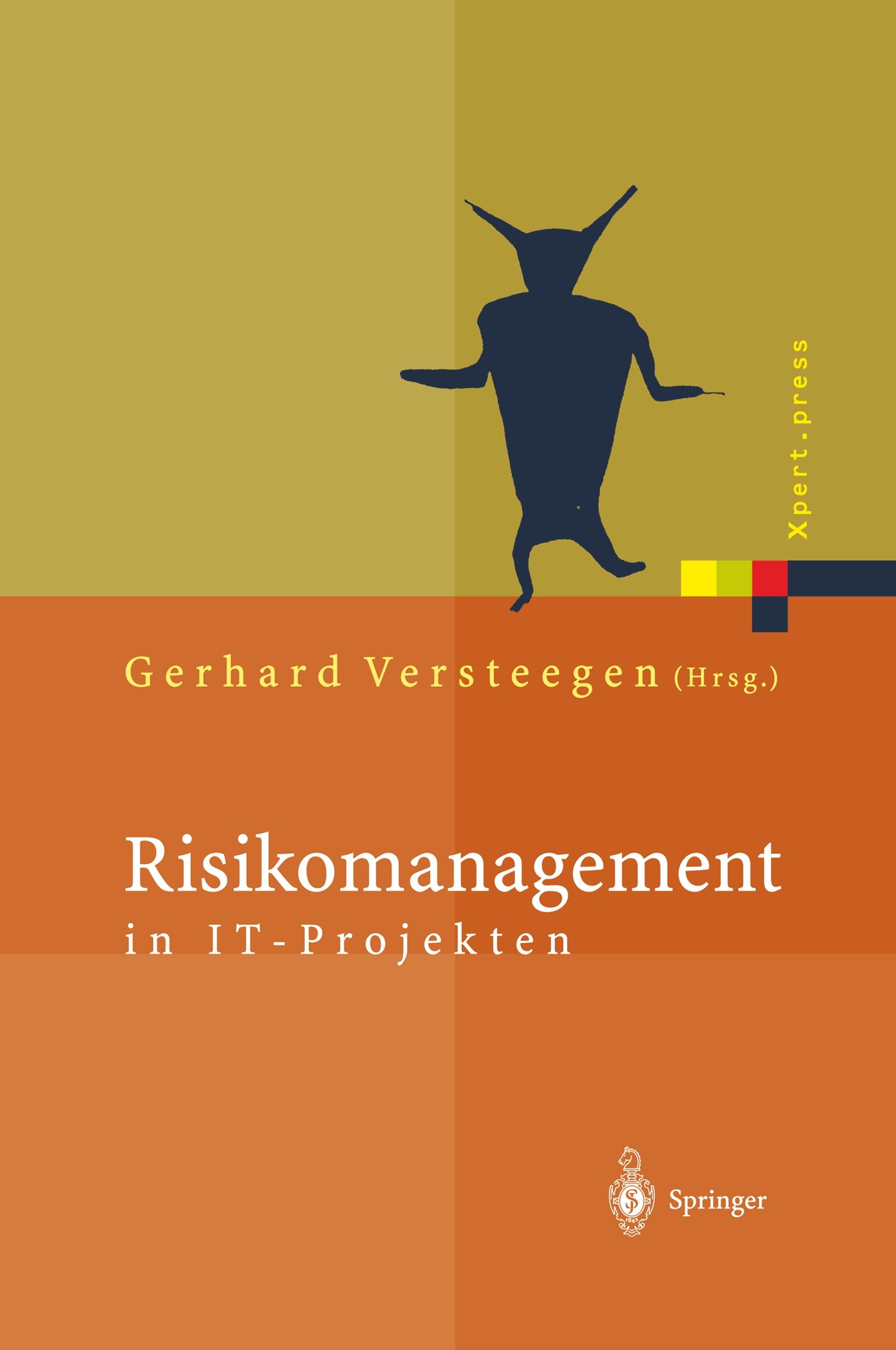 Risikomanagement in IT-Projekten