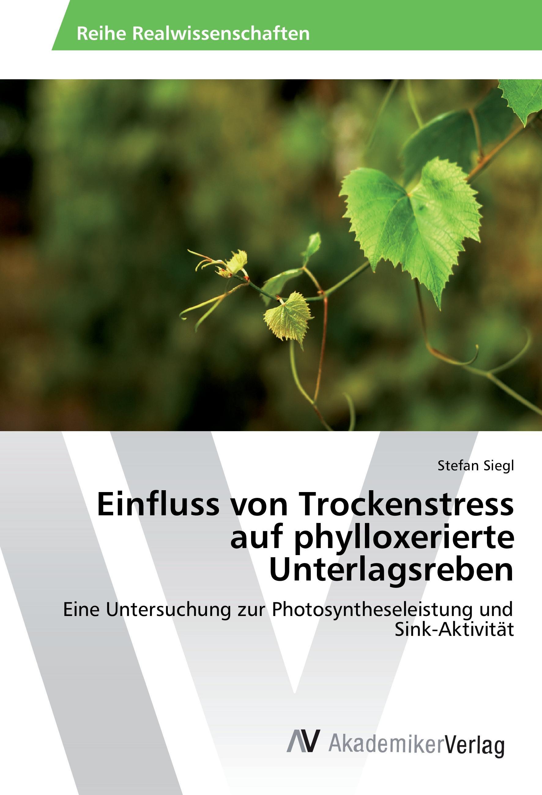 Einfluss von Trockenstress auf phylloxerierte Unterlagsreben