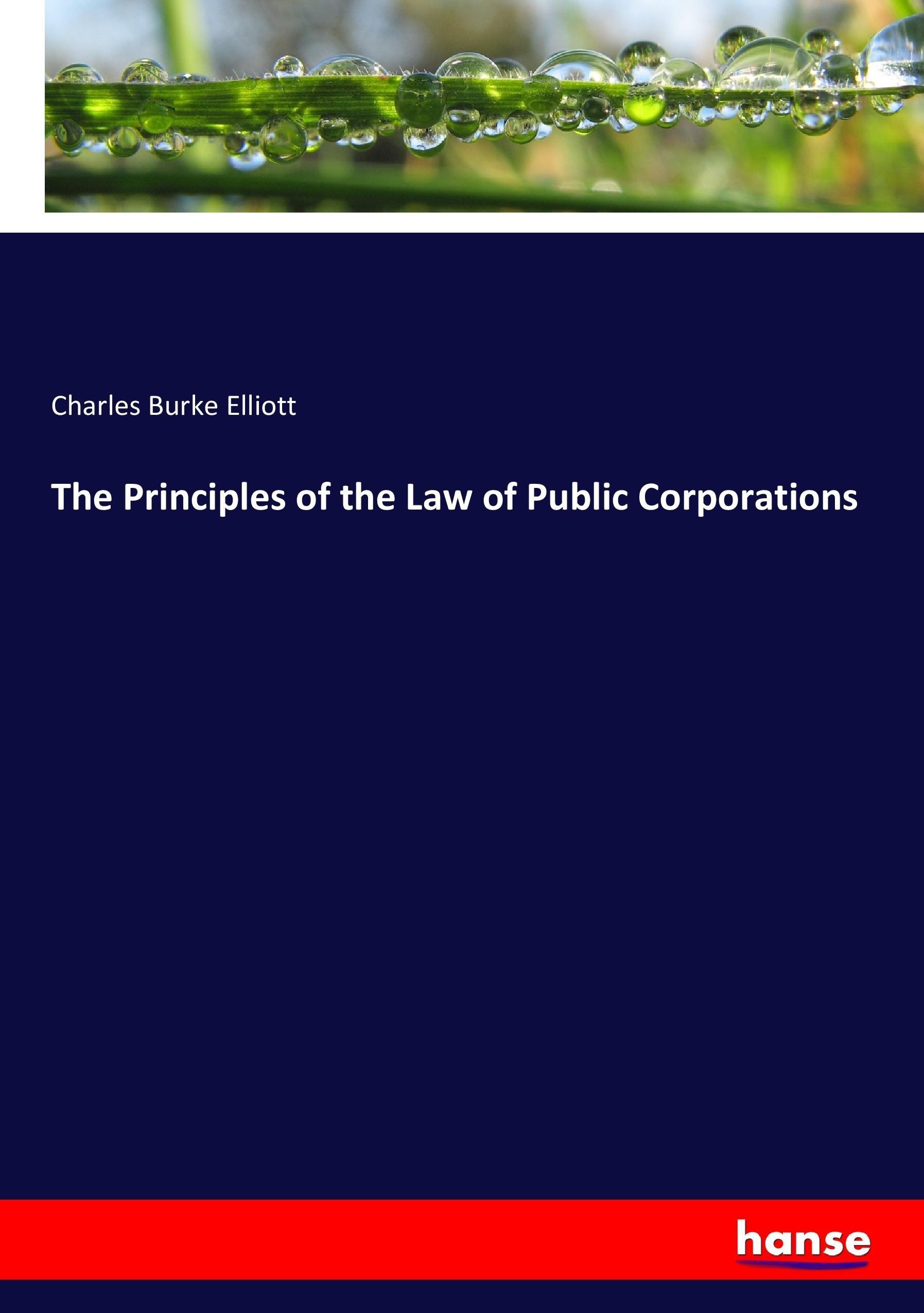 The Principles of the Law of Public Corporations