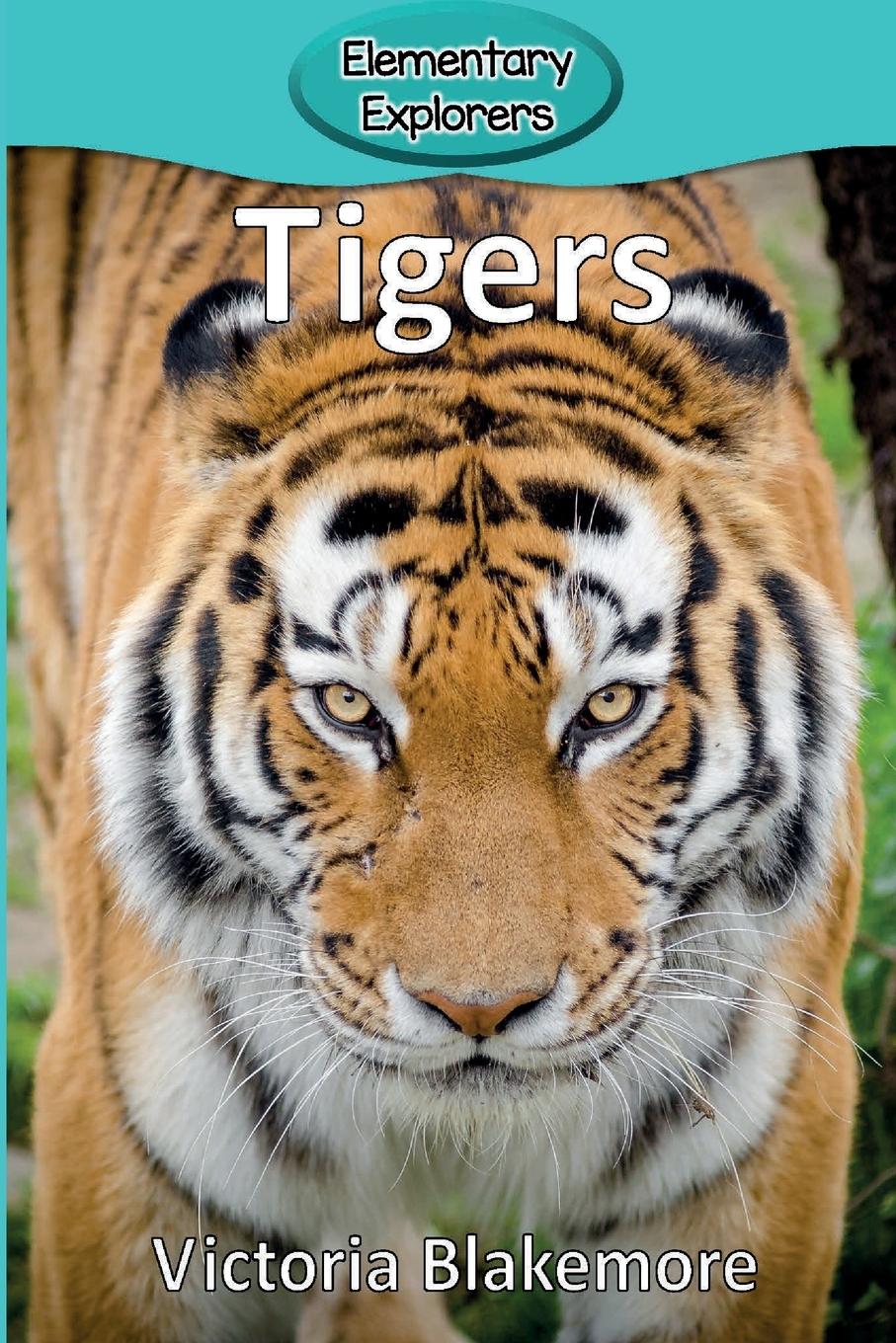 Tigers