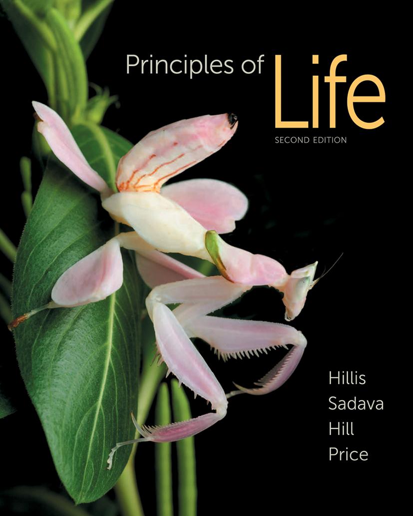 Principles of Life for the AP course