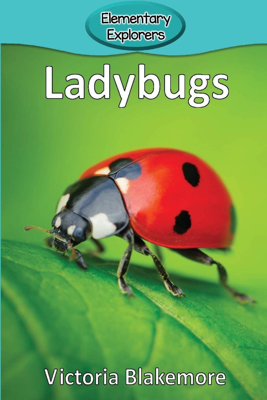 Ladybugs