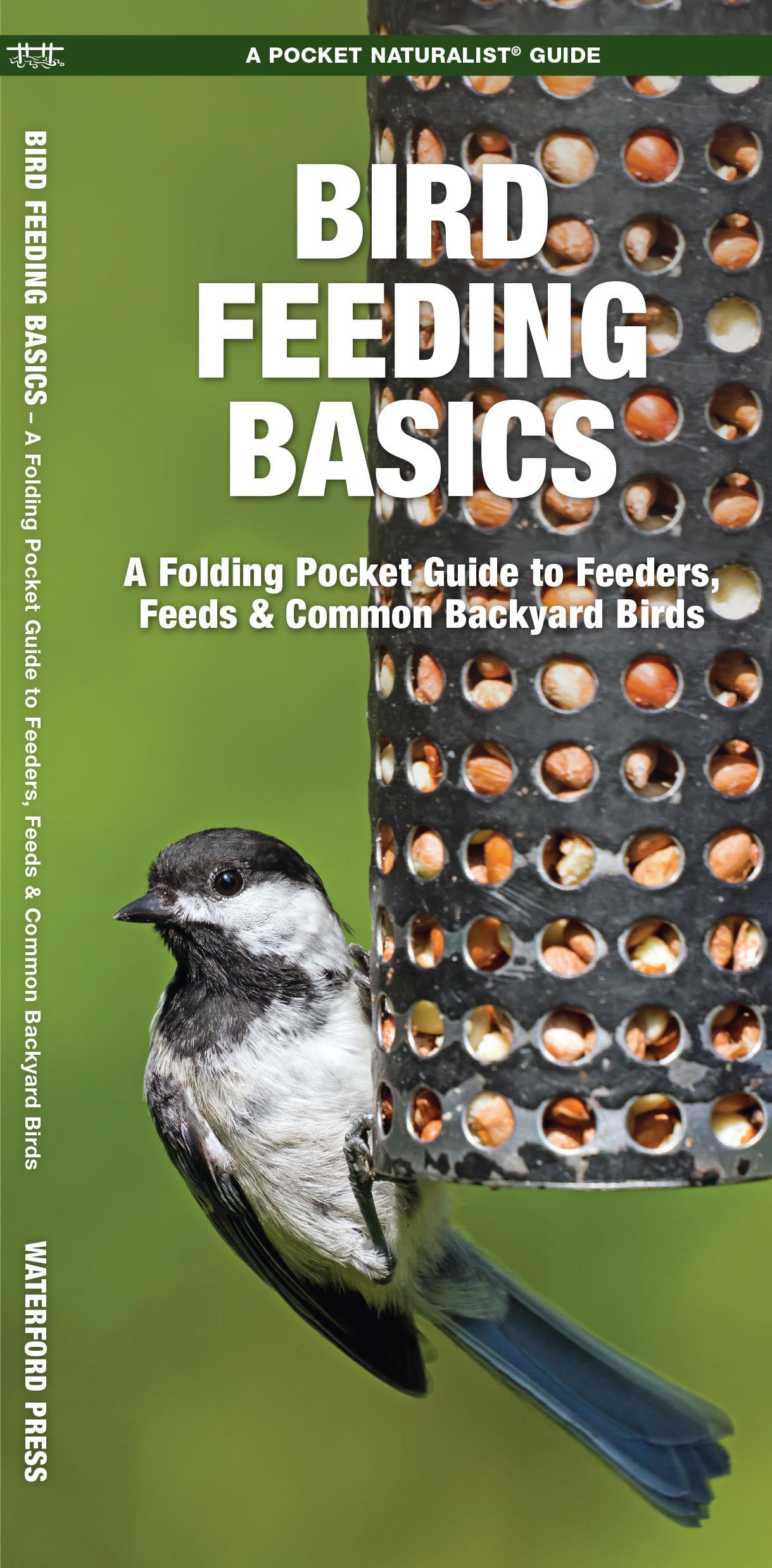 Bird Feeding Basics