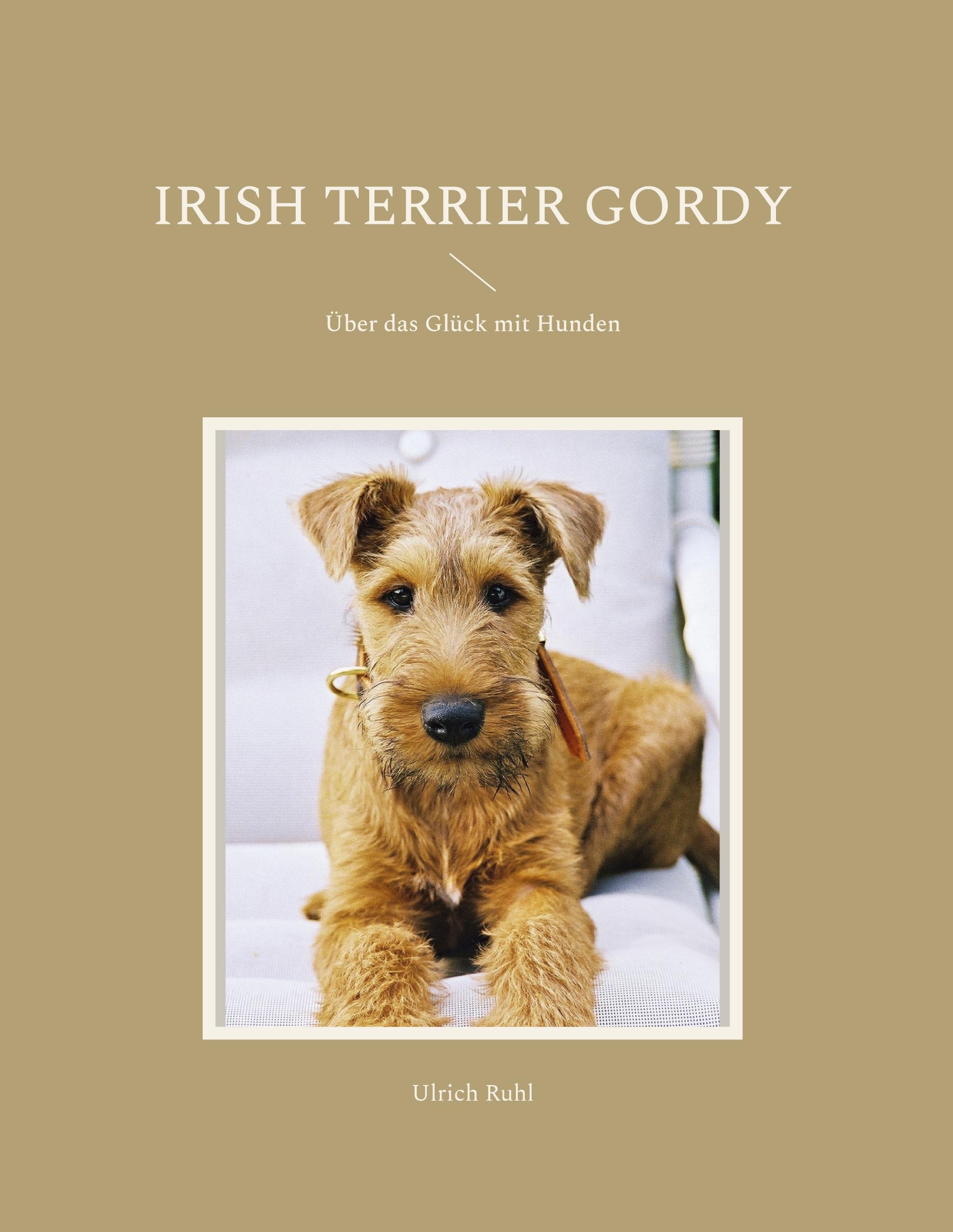 Irish Terrier Gordy