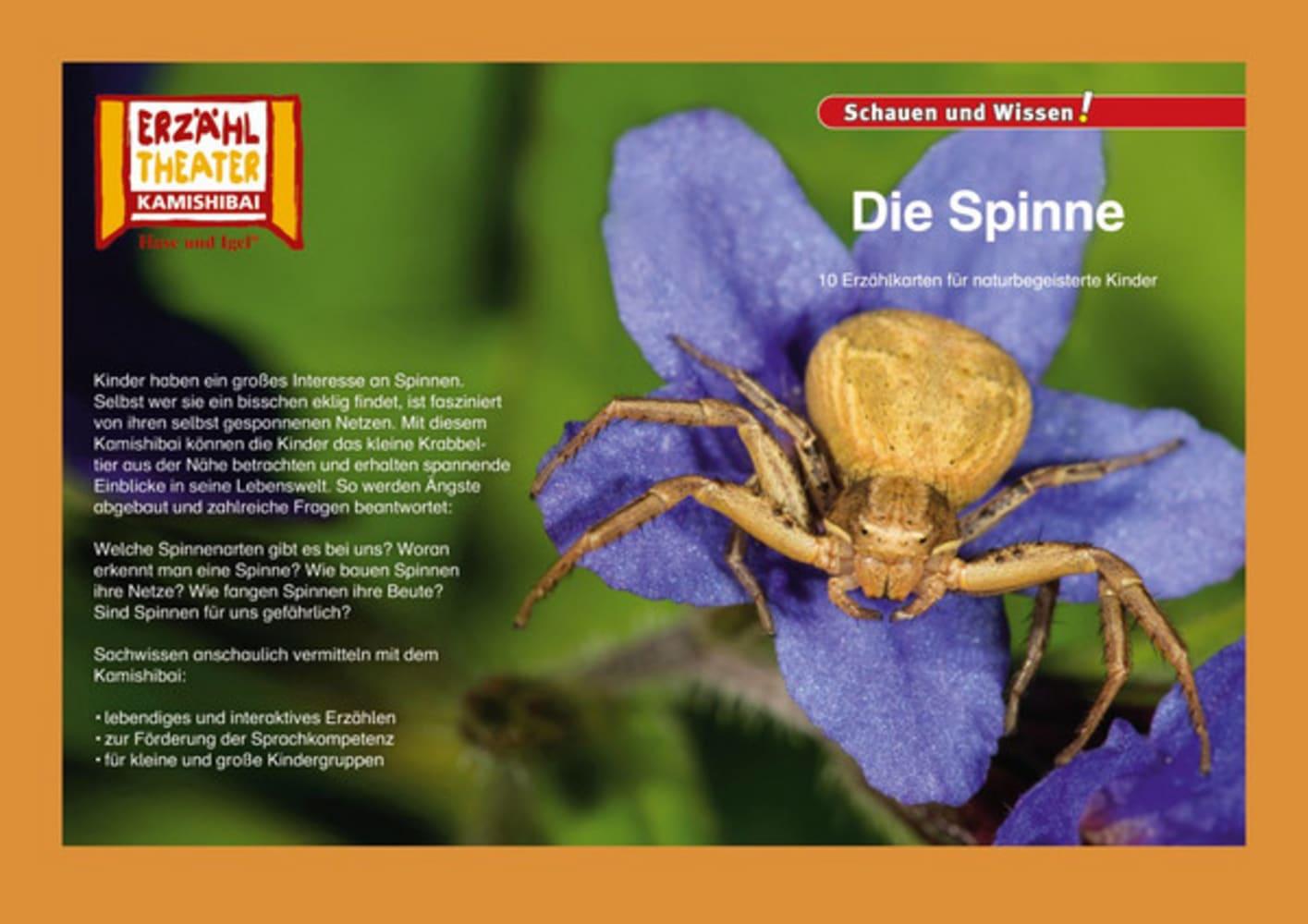 Kamishibai: Die Spinne