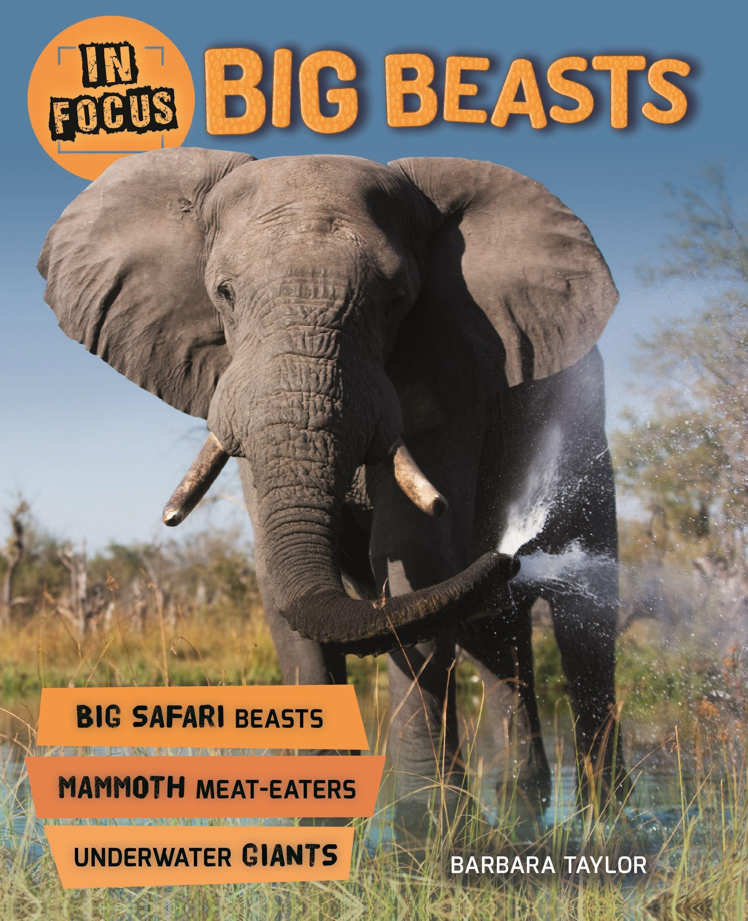 In Focus: Big Beasts