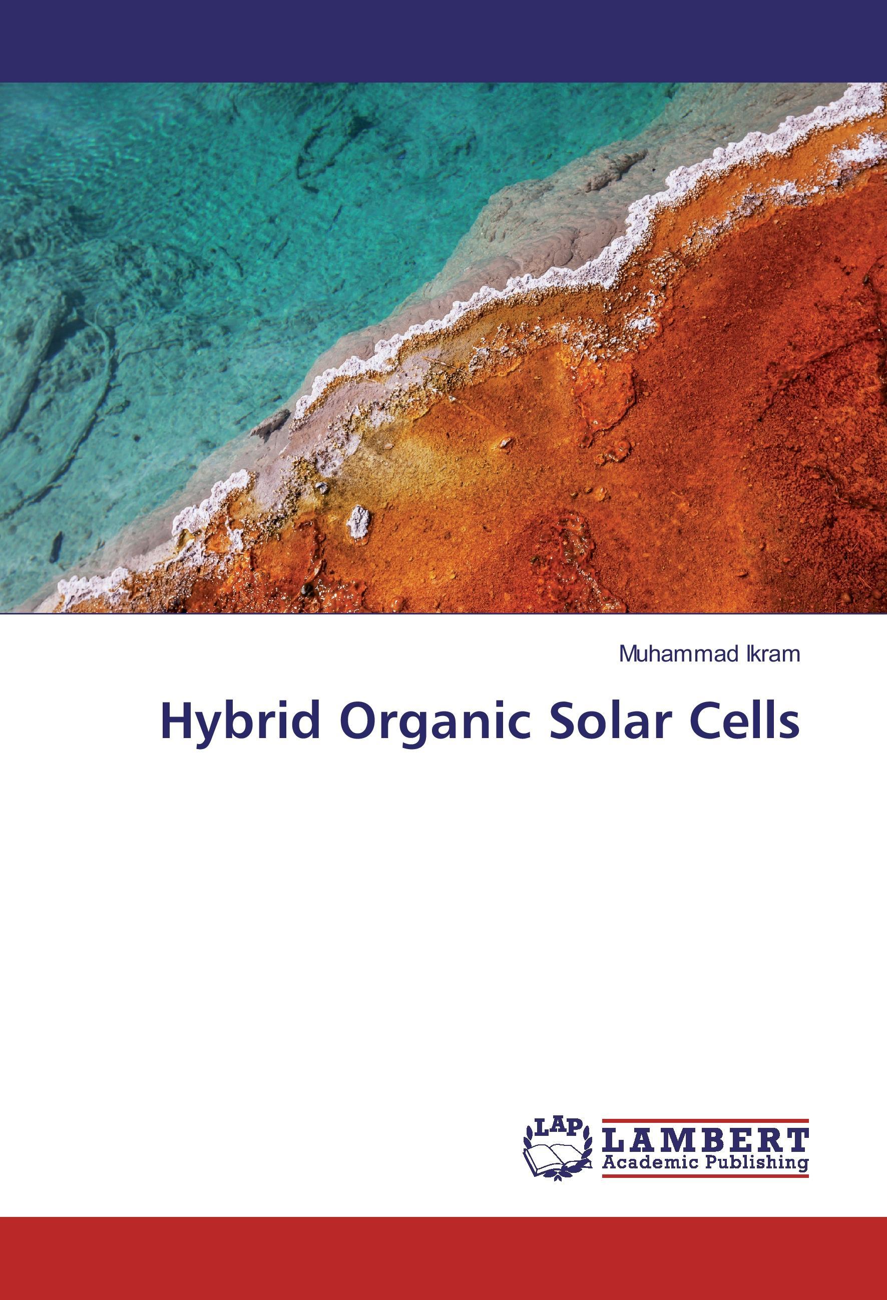 Hybrid Organic Solar Cells