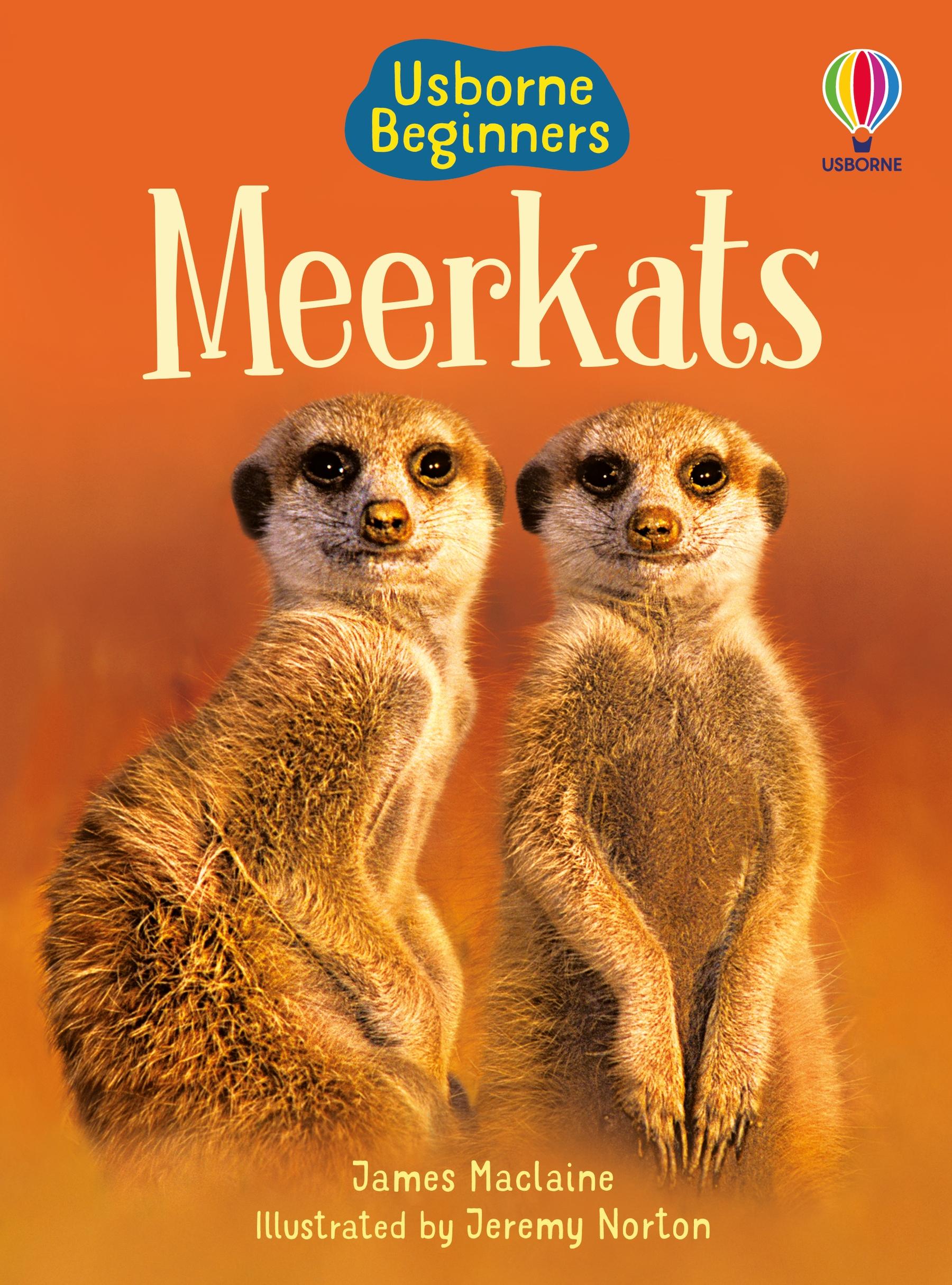 Meerkats