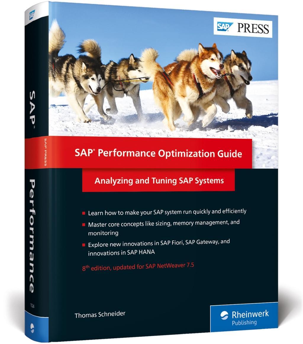 SAP Performance Optimization Guide