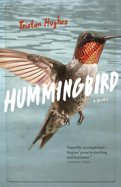 Hummingbird