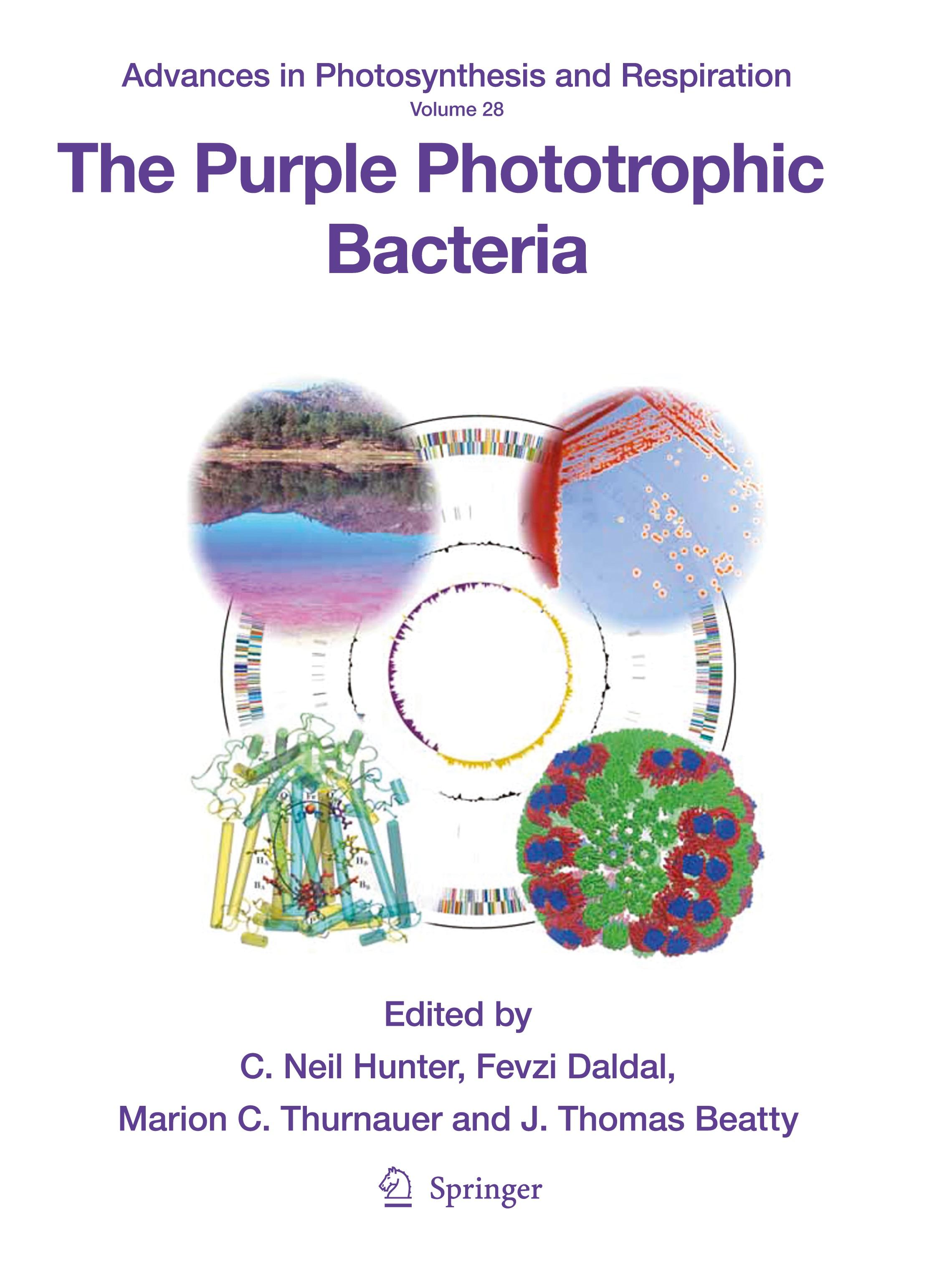 The Purple Phototrophic Bacteria