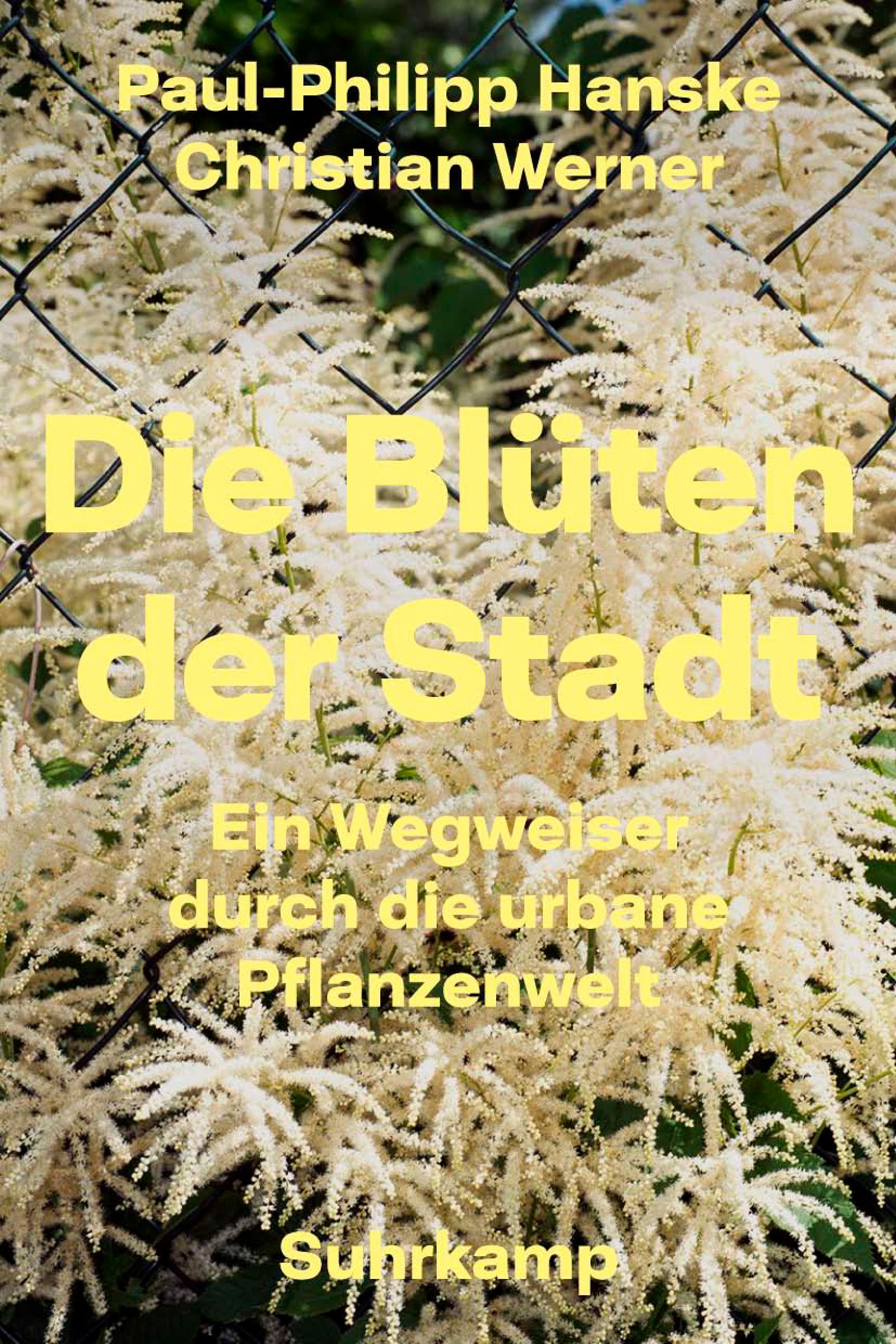 Die Blüten der Stadt