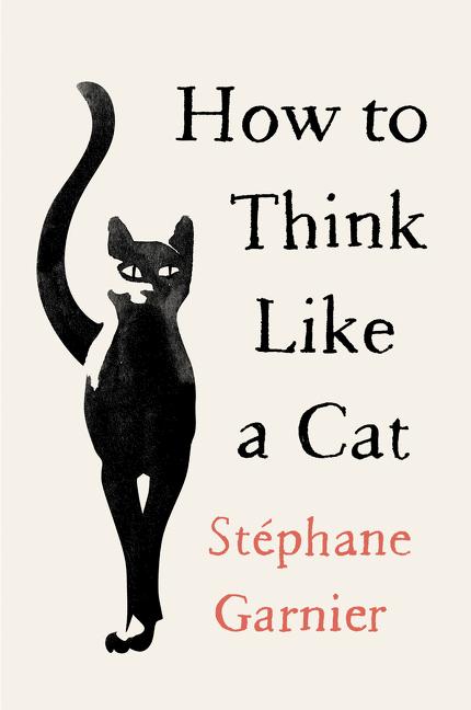 How to Think Like a Cat