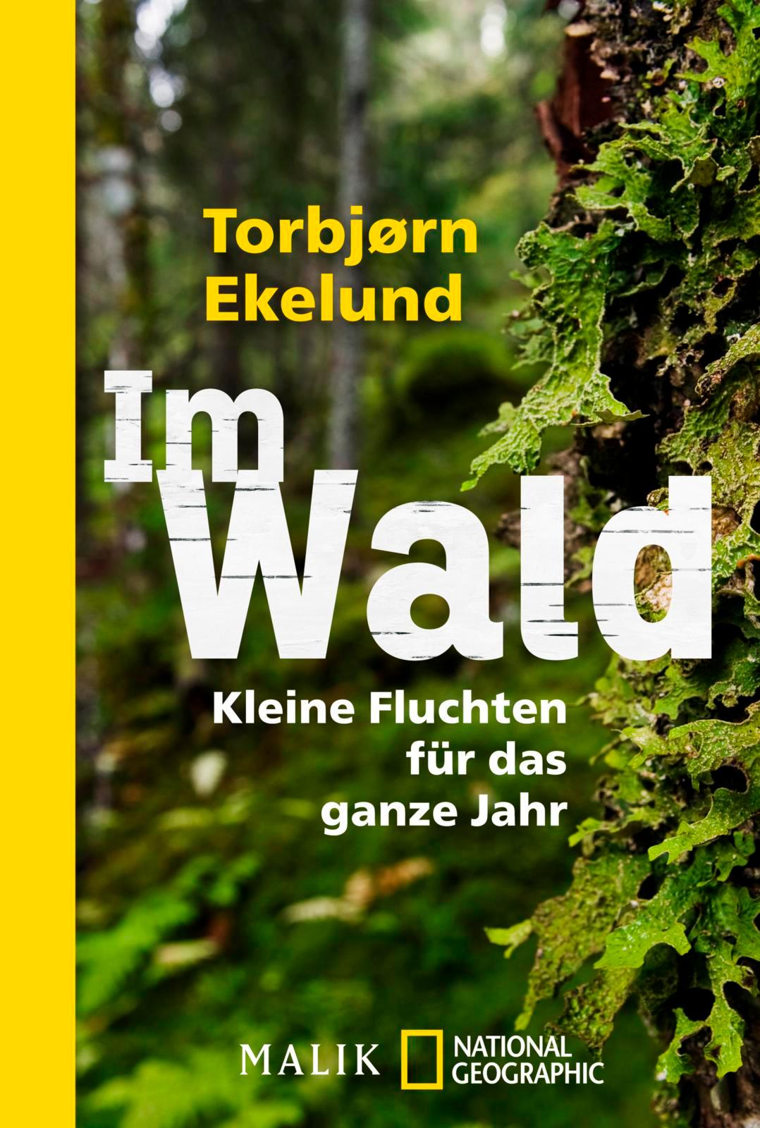 Im Wald