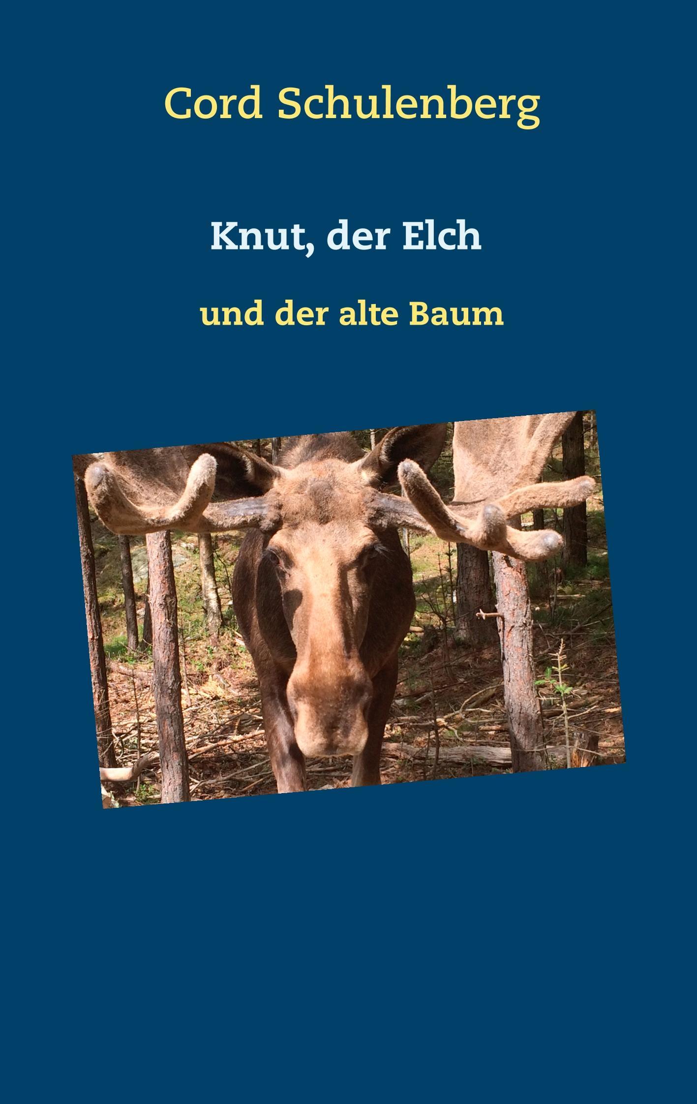 Knut, der Elch