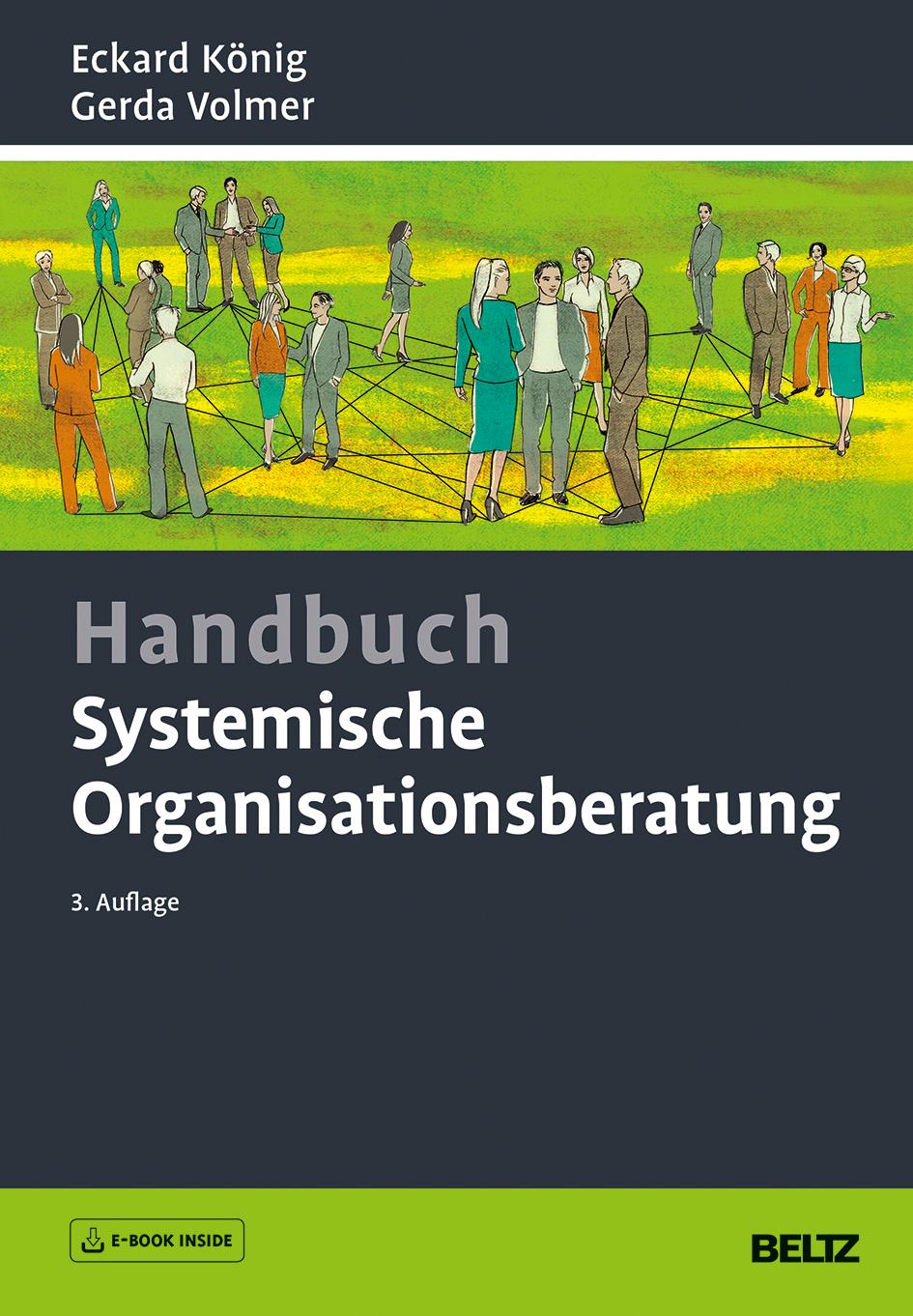 Handbuch Systemische Organisationsberatung