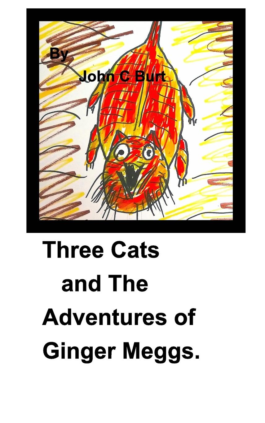 Three Cats and The Adventures of Ginger Meggs .