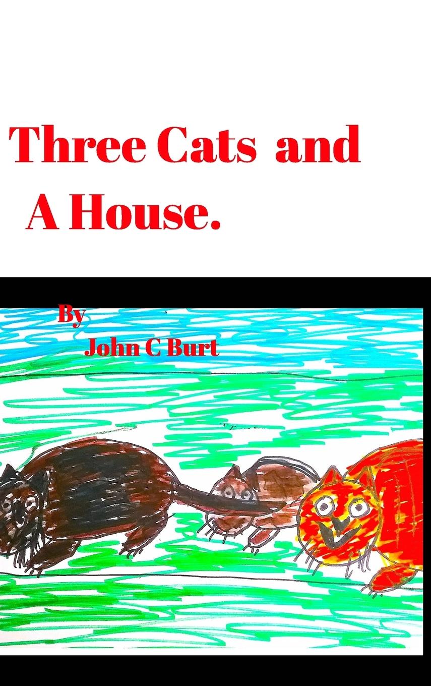 Three Cats and A House.