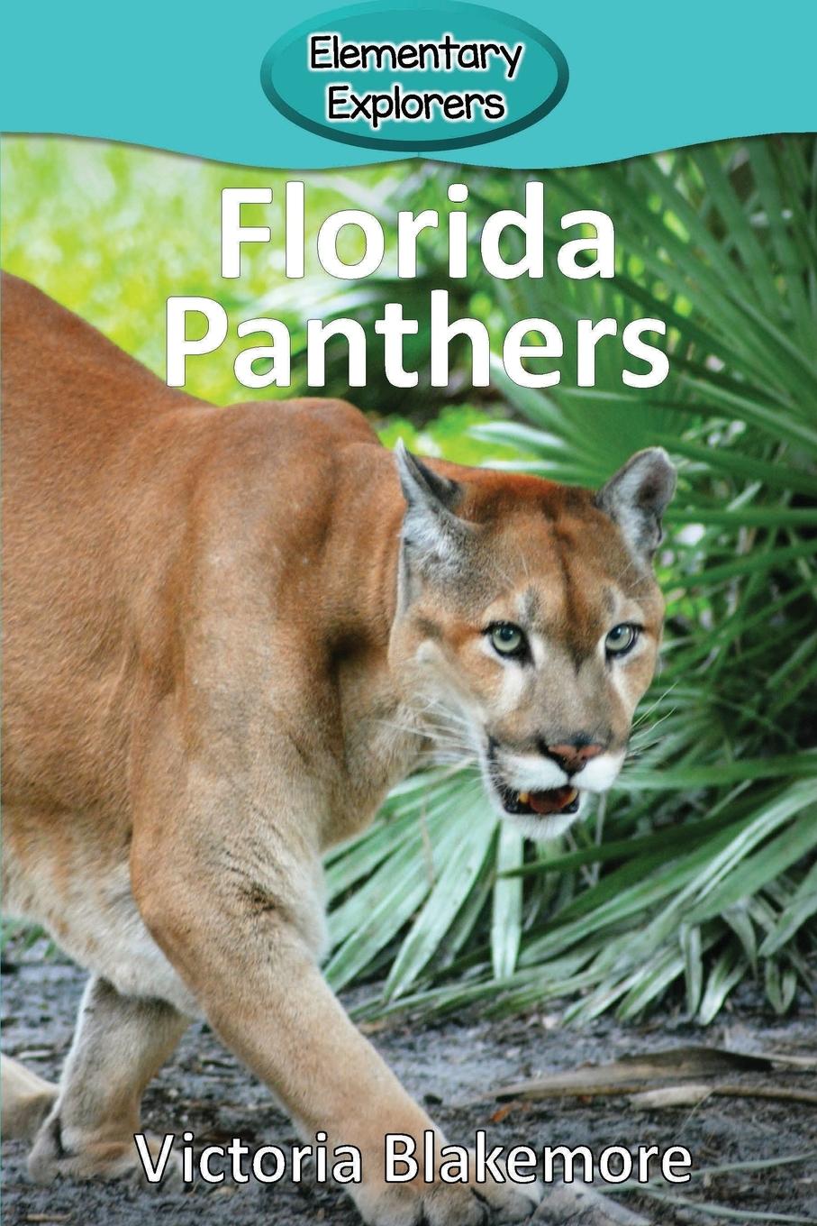 Florida Panthers