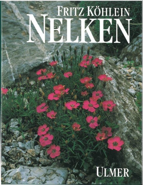 Nelken