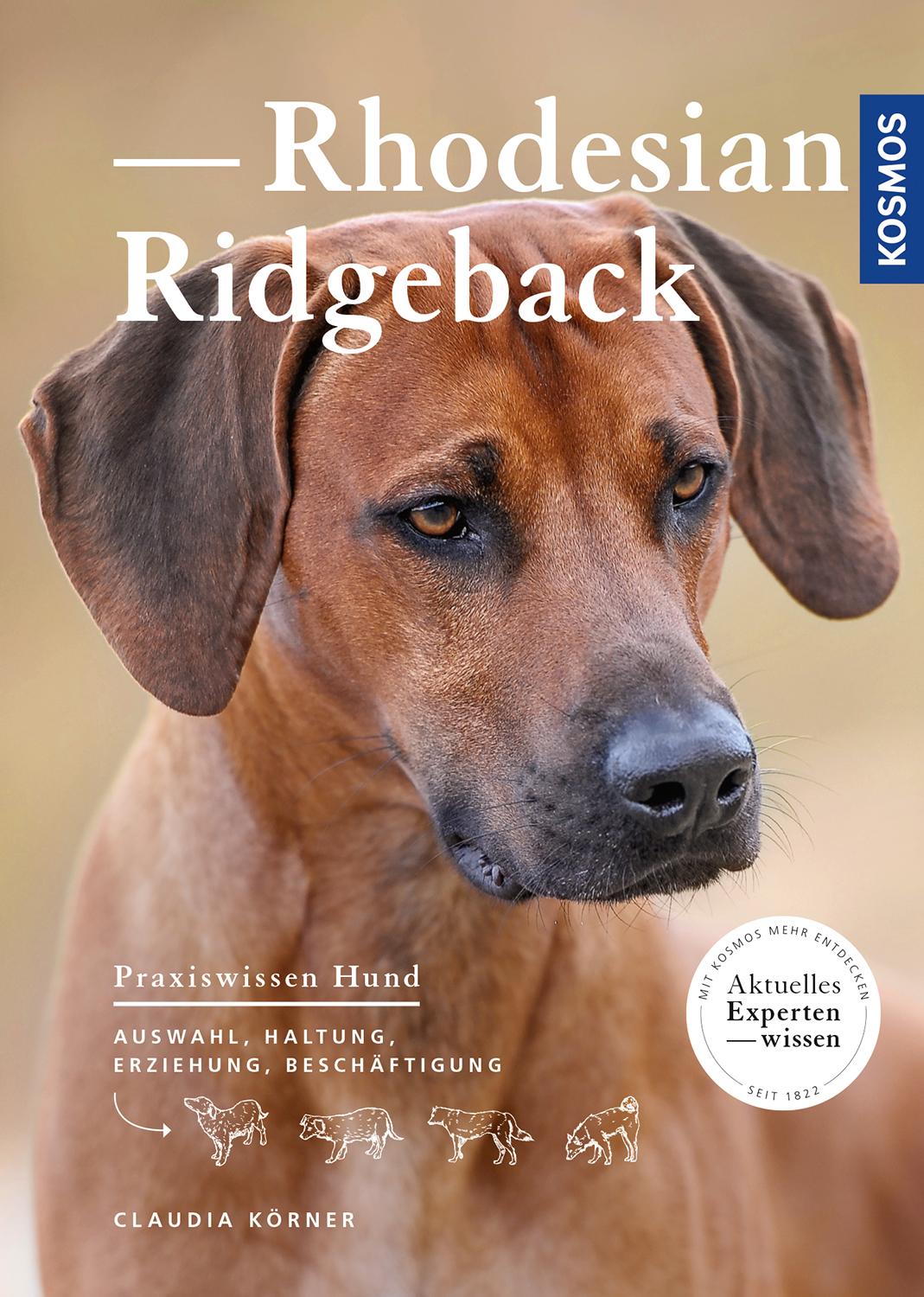 Rhodesian Ridgeback