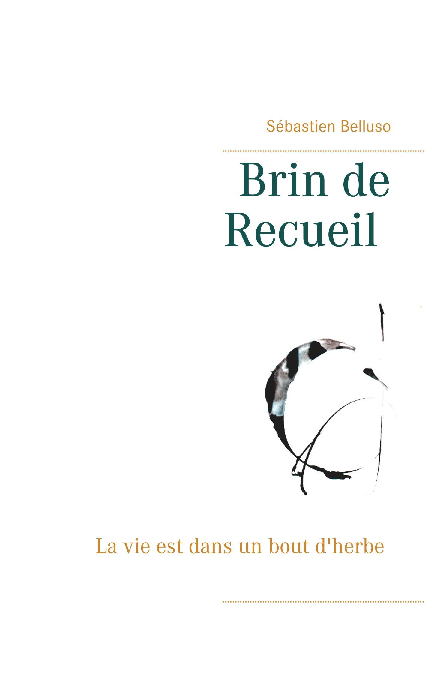 Brin de Recueil