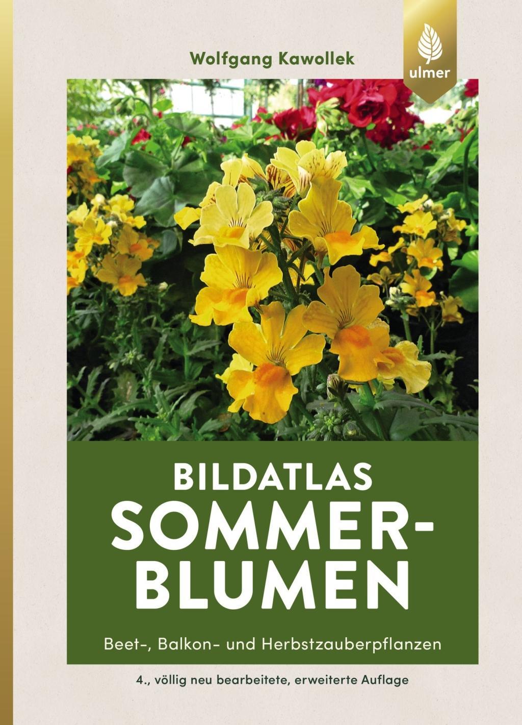 Bildatlas Sommerblumen