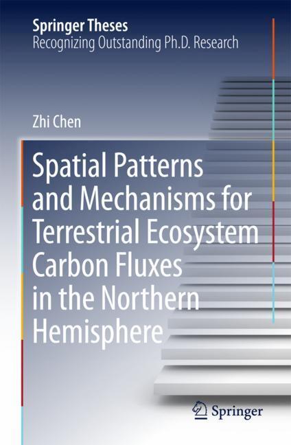 Spatial Patterns and Mechanisms for Terrestrial Ecosystem Carbon Fluxes in the Northern Hemisphere