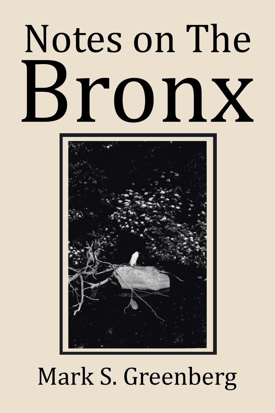 Notes on The Bronx