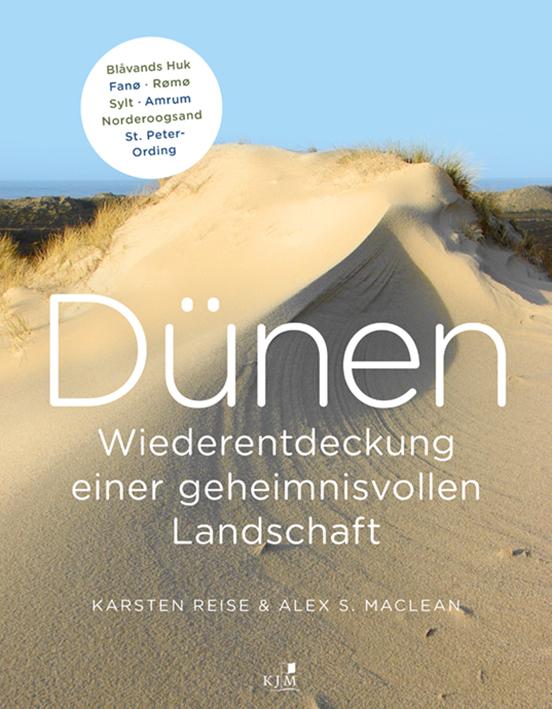 Dünen. Die Wiederentdeckung einer geheimnisvollen Landschaft