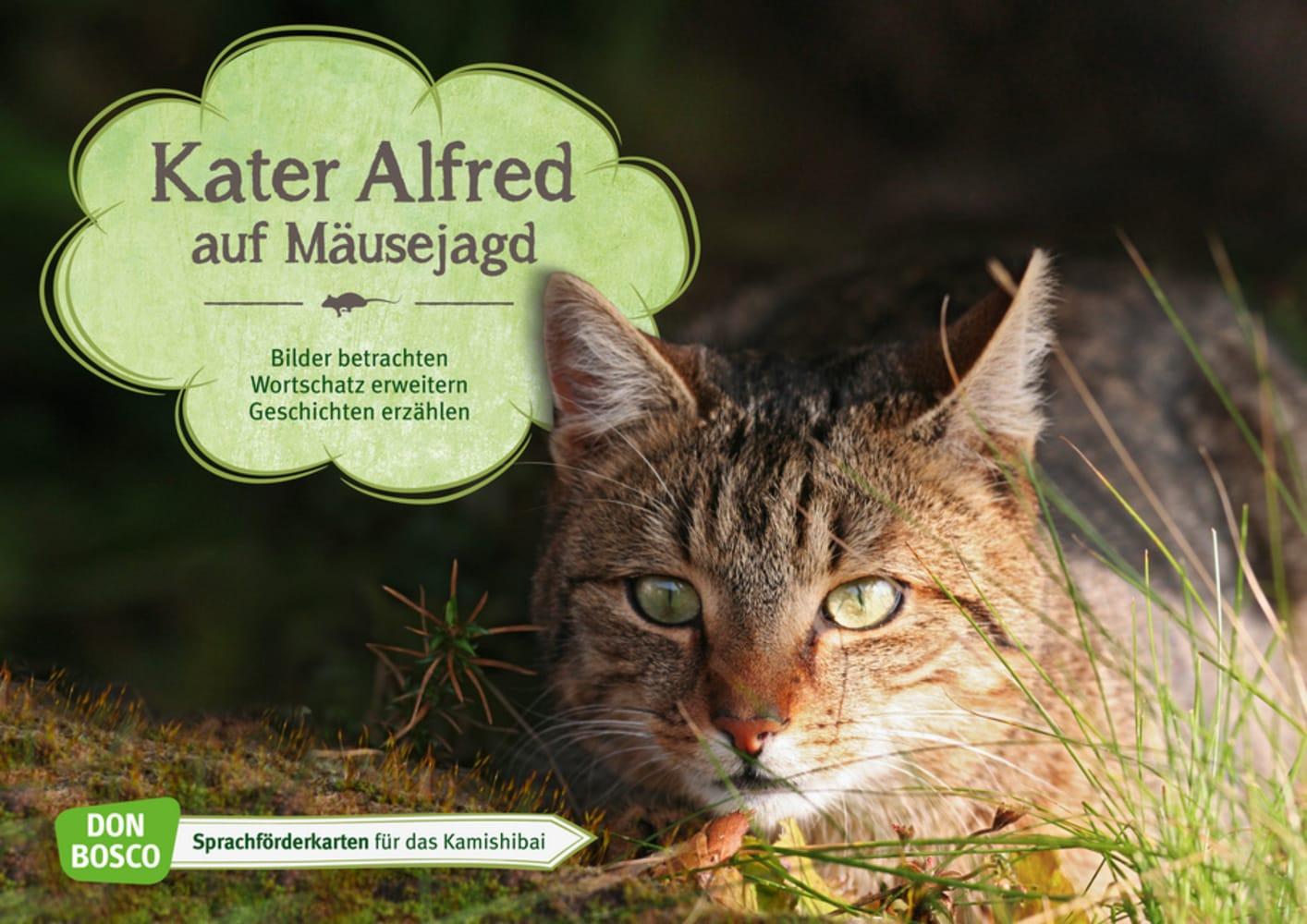 Kater Alfred auf Mäusejagd. Kamishibai Bildkartenset.