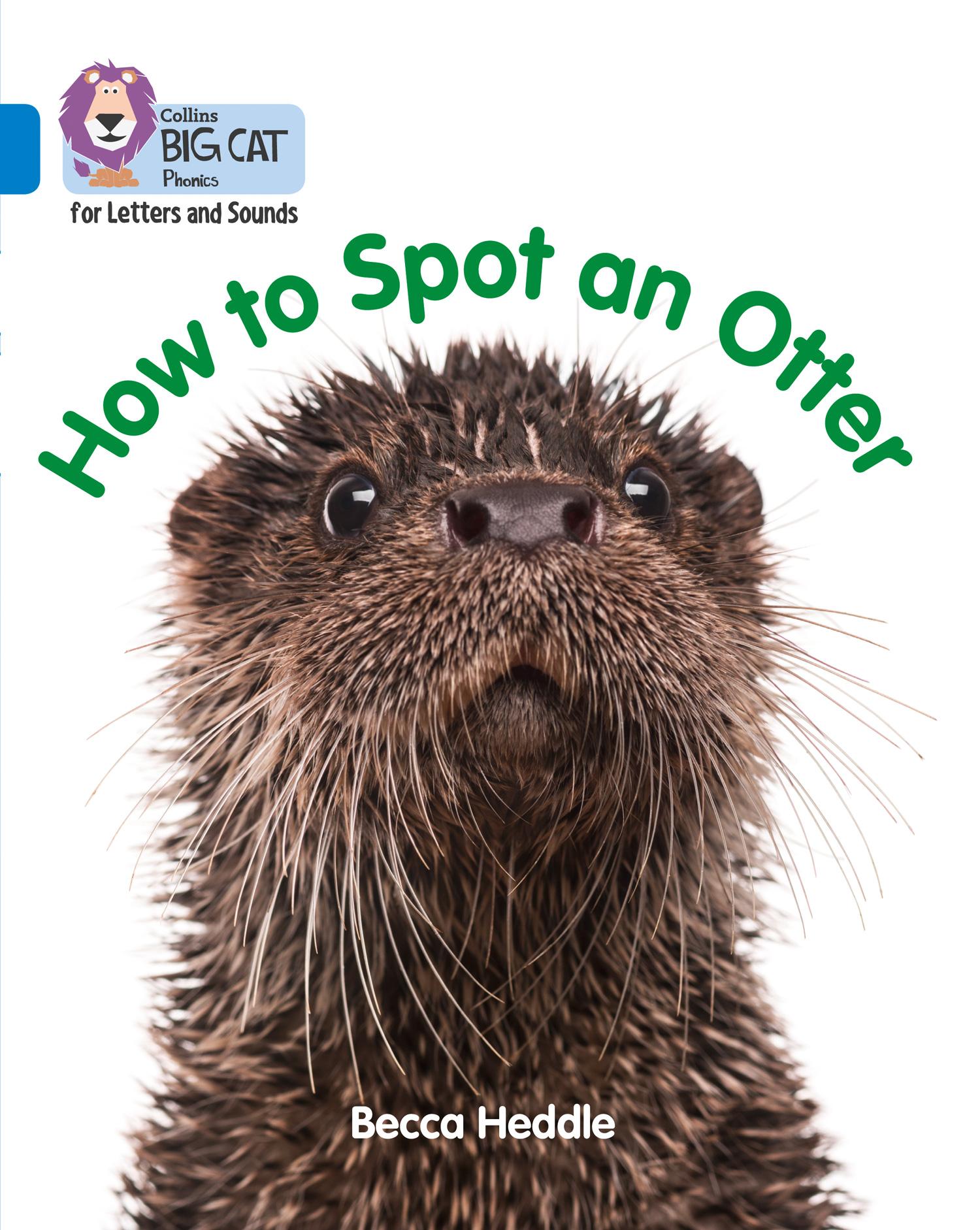 Be an Otter Expert