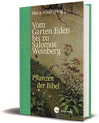 Vom Garten Eden bis zu Salomos Weinberg