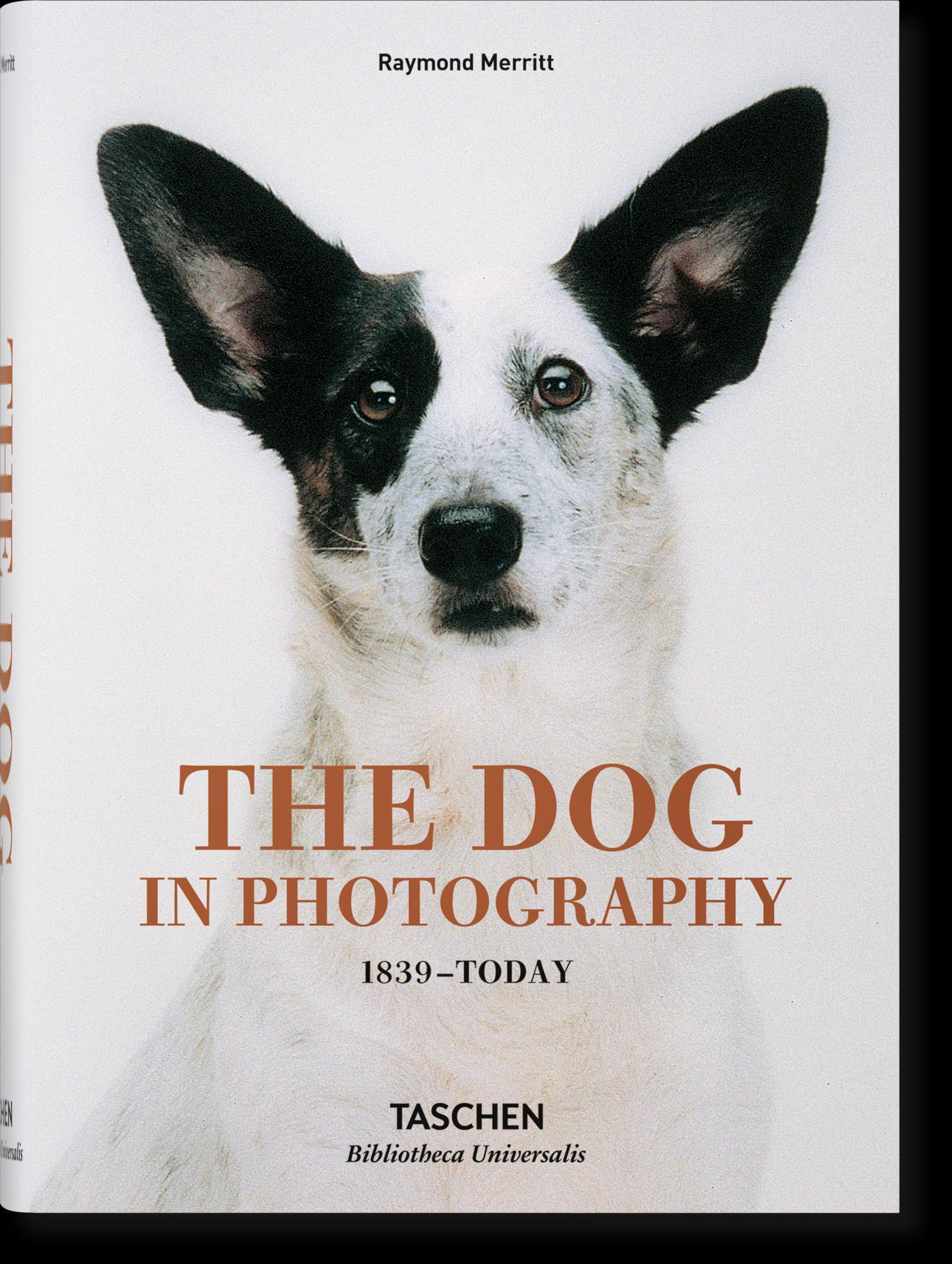 The Dog in Photography 1839-Today